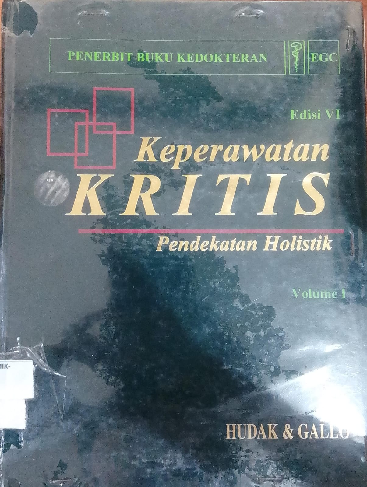 Keperawatan Kritis , Pendekatan Holistik Volume 1